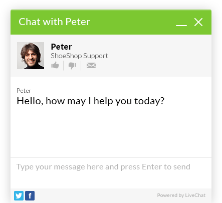 Recorrido de LiveChat: Interactúe con los clientes de su sitio web